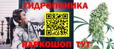 дурь Усть-Джегута